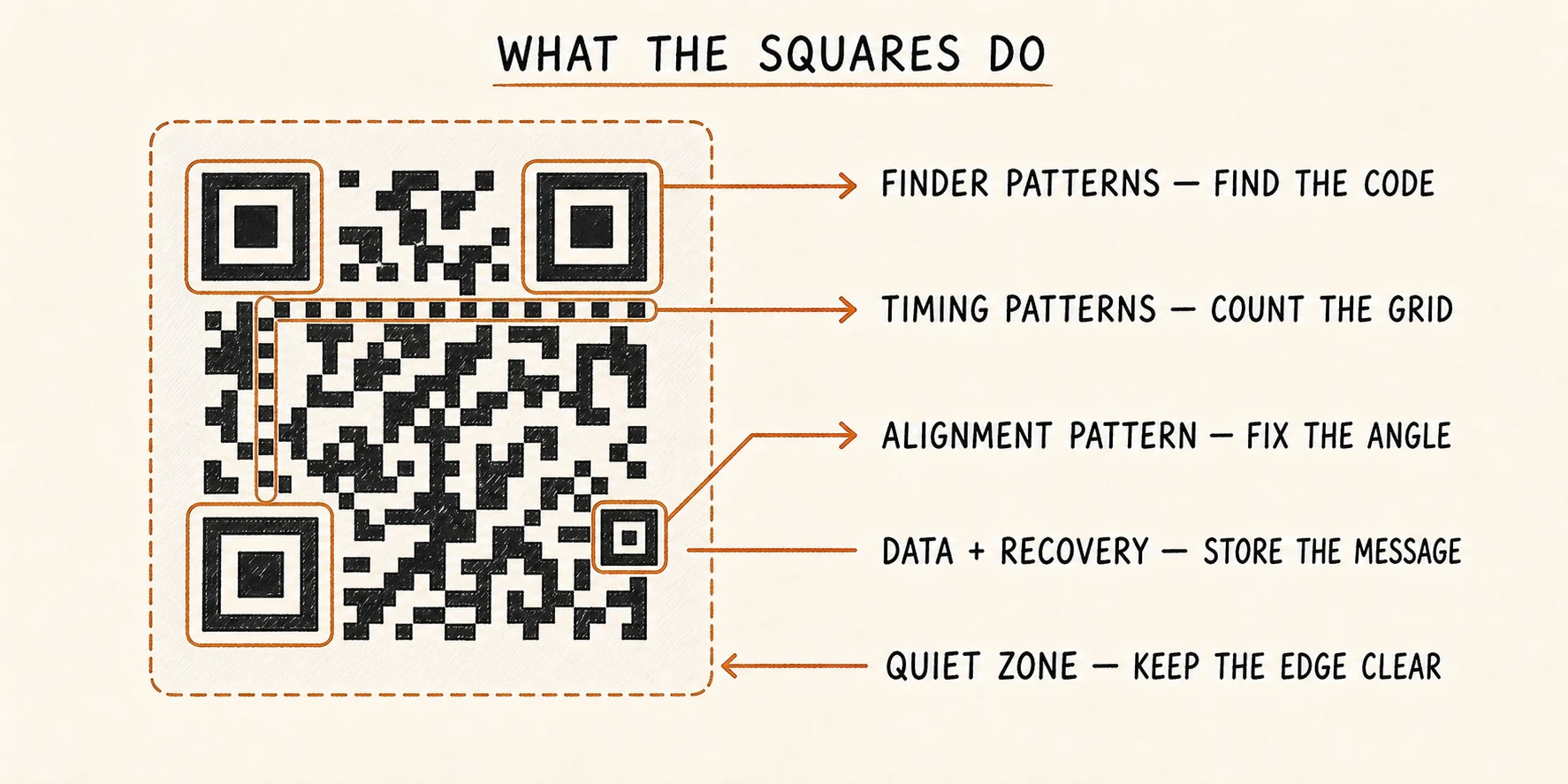 The finder, timing, alignment, data, recovery, and quiet-zone parts of a QR code